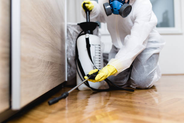 Best Ant Control Services  in Black Point Green Point, CA