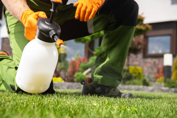 Best Affordable Pest Control Services  in Black Point Green Point, CA
