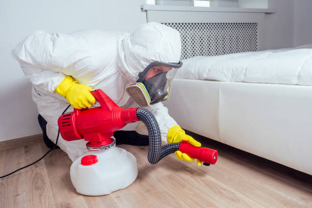 Trusted Black Point Green Point, CA Pest Control Experts
